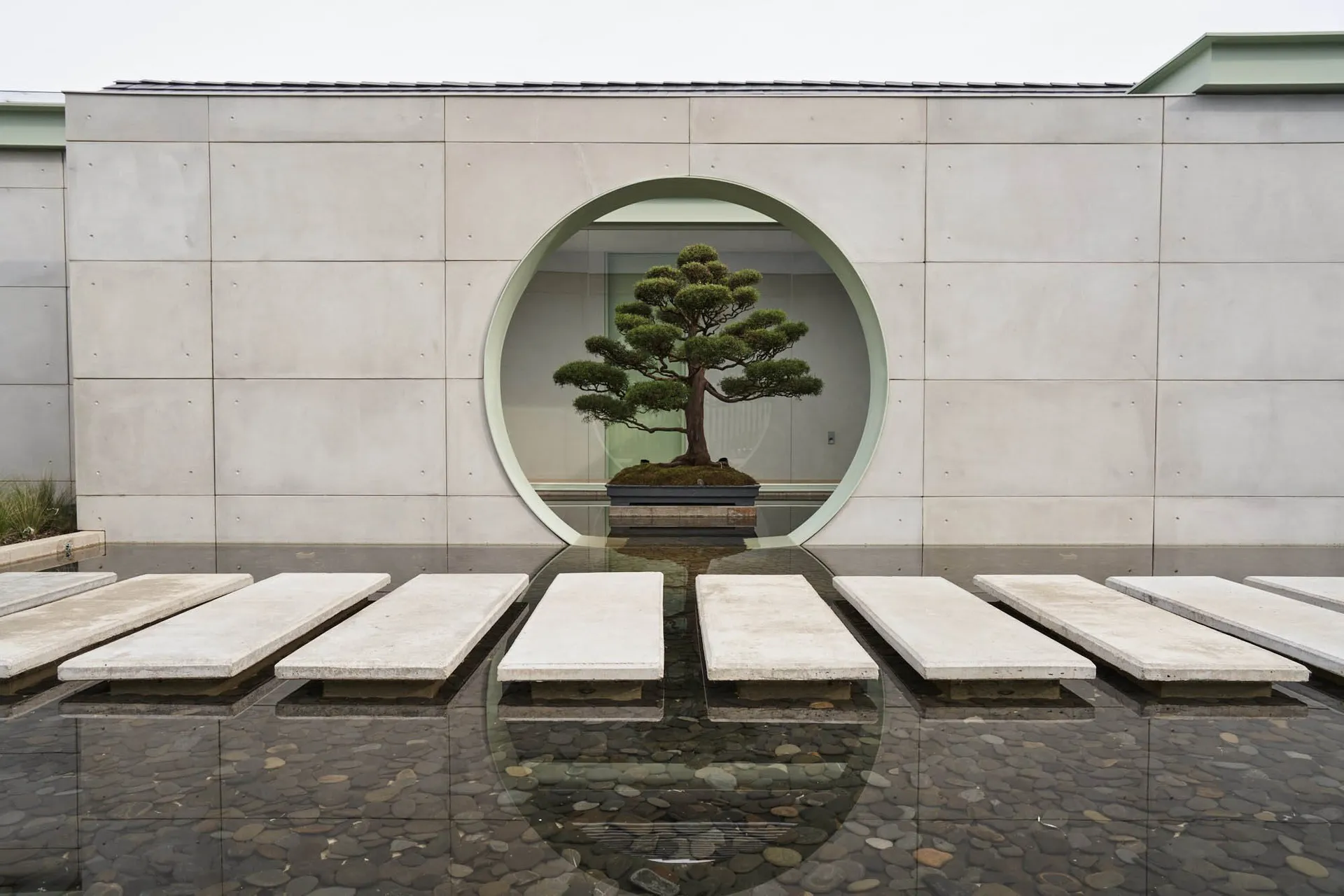 A minimalist landscape featuring a concrete planter with a gnarled bonsai tree.
