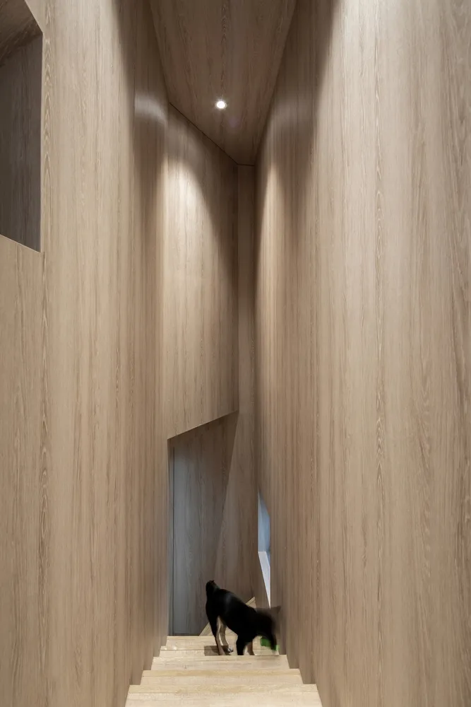 Minimalist wooden staircase interior, dog on stairs