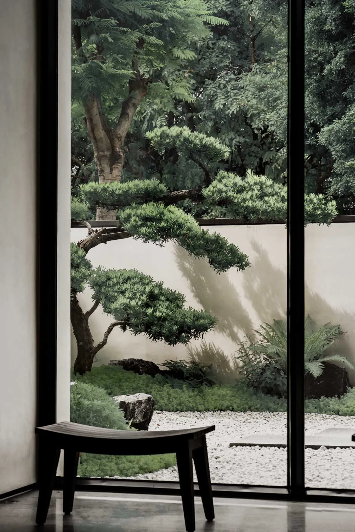 A serene indoor garden featuring a minimalist bonsai tree and gravel pathway.