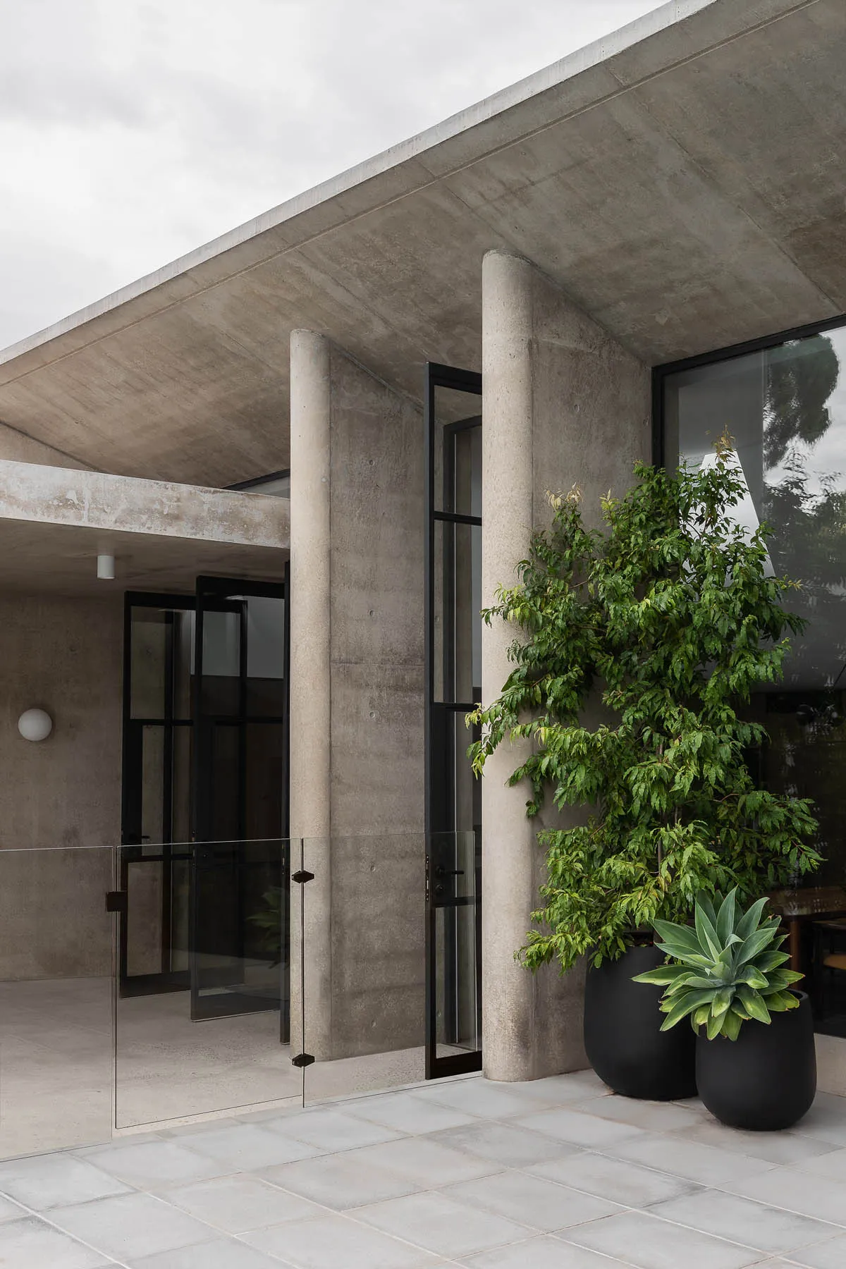 A modern concrete entrance with large glass doors and a lush green plant in a black planter.
