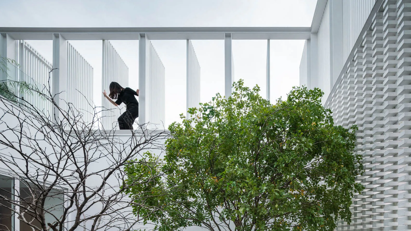 A modern interior space featuring metal framing and greenery against a white backdrop.