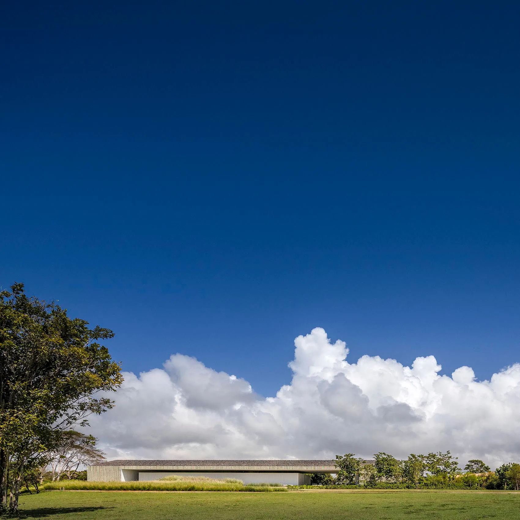A modern building with a concrete facade surrounded by lush greenery and a clear blue sky.