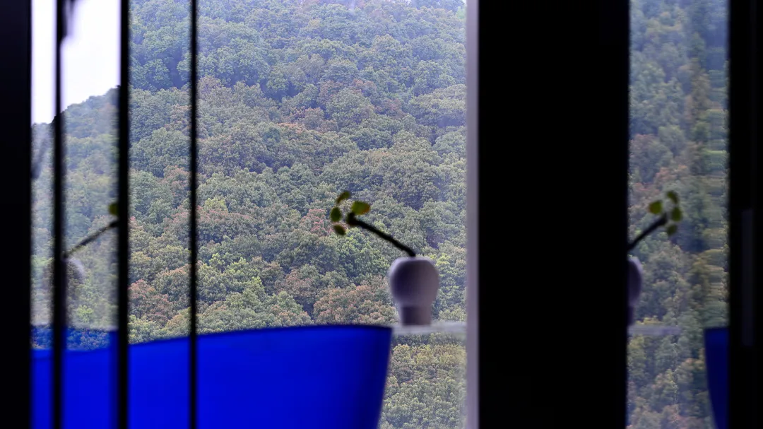 藍色花瓶搭配綠色植物置於窗台,窗外百葉窗景致為茂密綠林。
