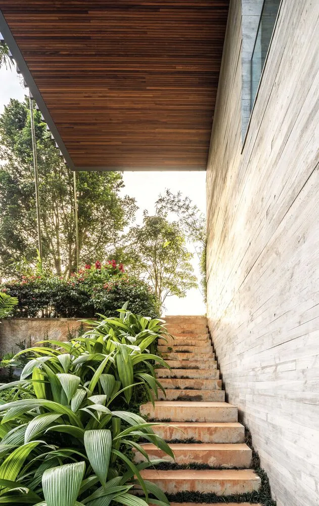 Concrete steps leading to an outdoor area with green plants and trees in the background.
