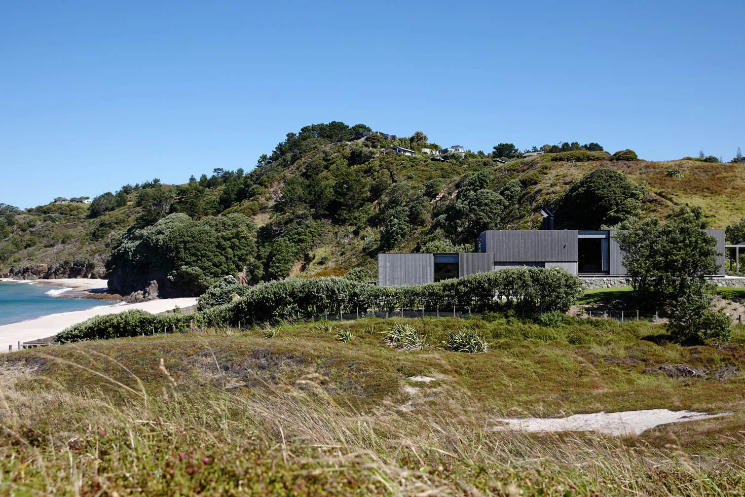 Modern residential house near the beach surrounded by greenery