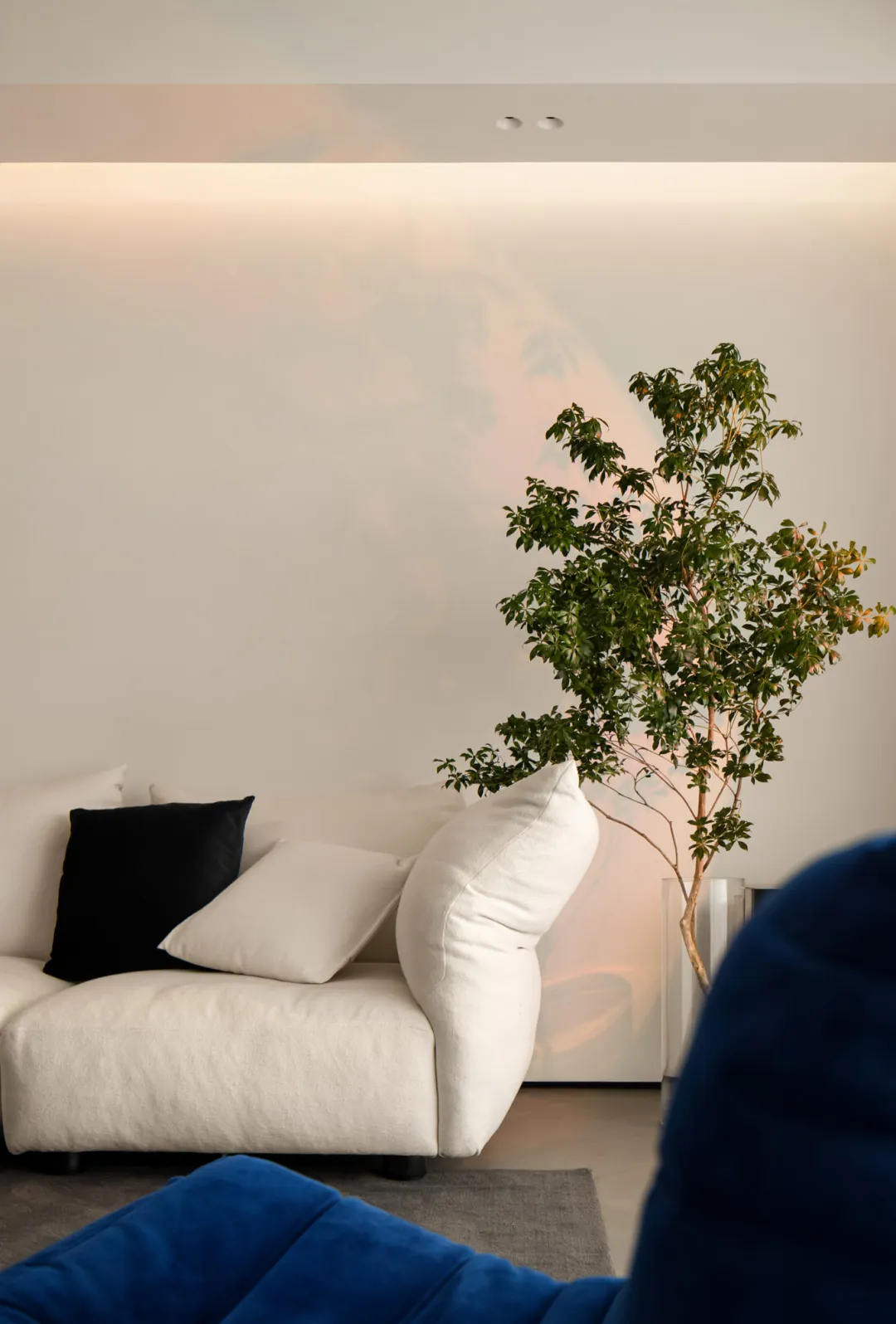Modern living room with a white couch, black and white pillows, and a green plant in a vase.