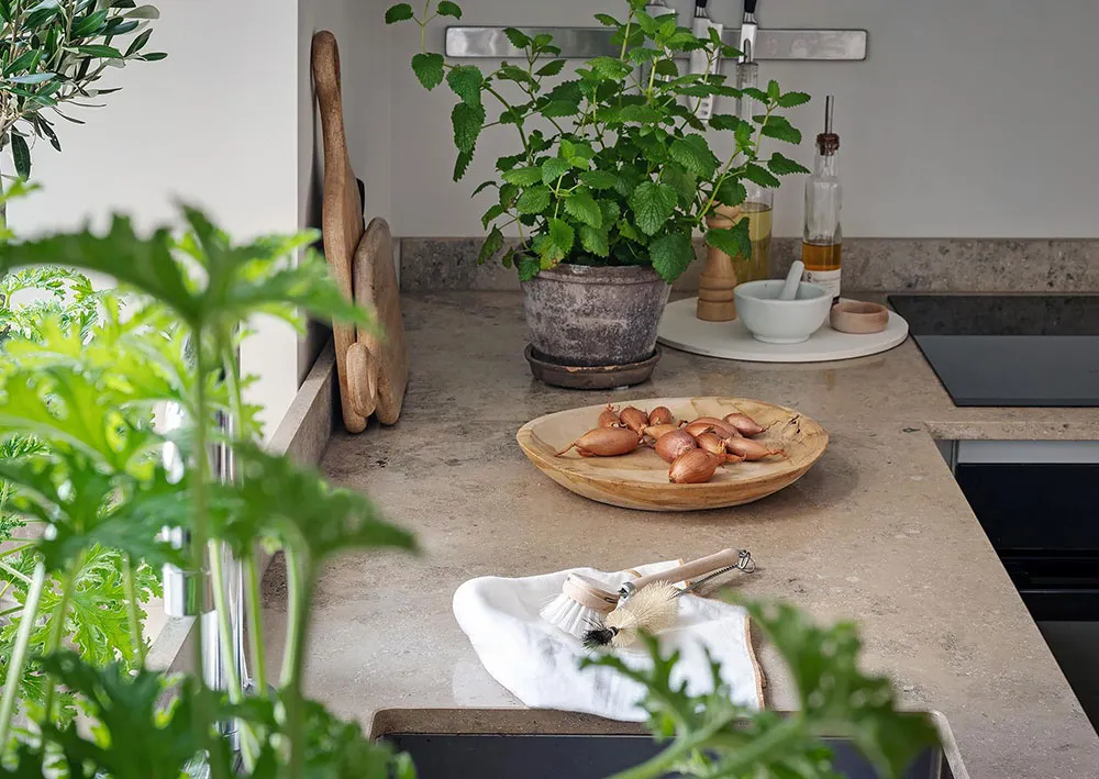 Photograph of a modern kitchen featuring marble countertops with plants, bowls, and cooking utensils.