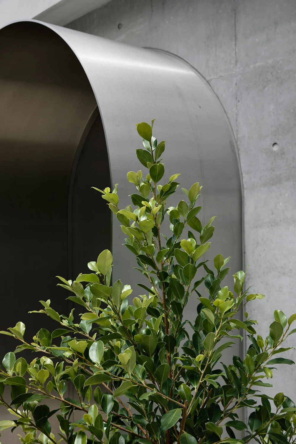 Modern interior space featuring a textured concrete wall and green foliage.