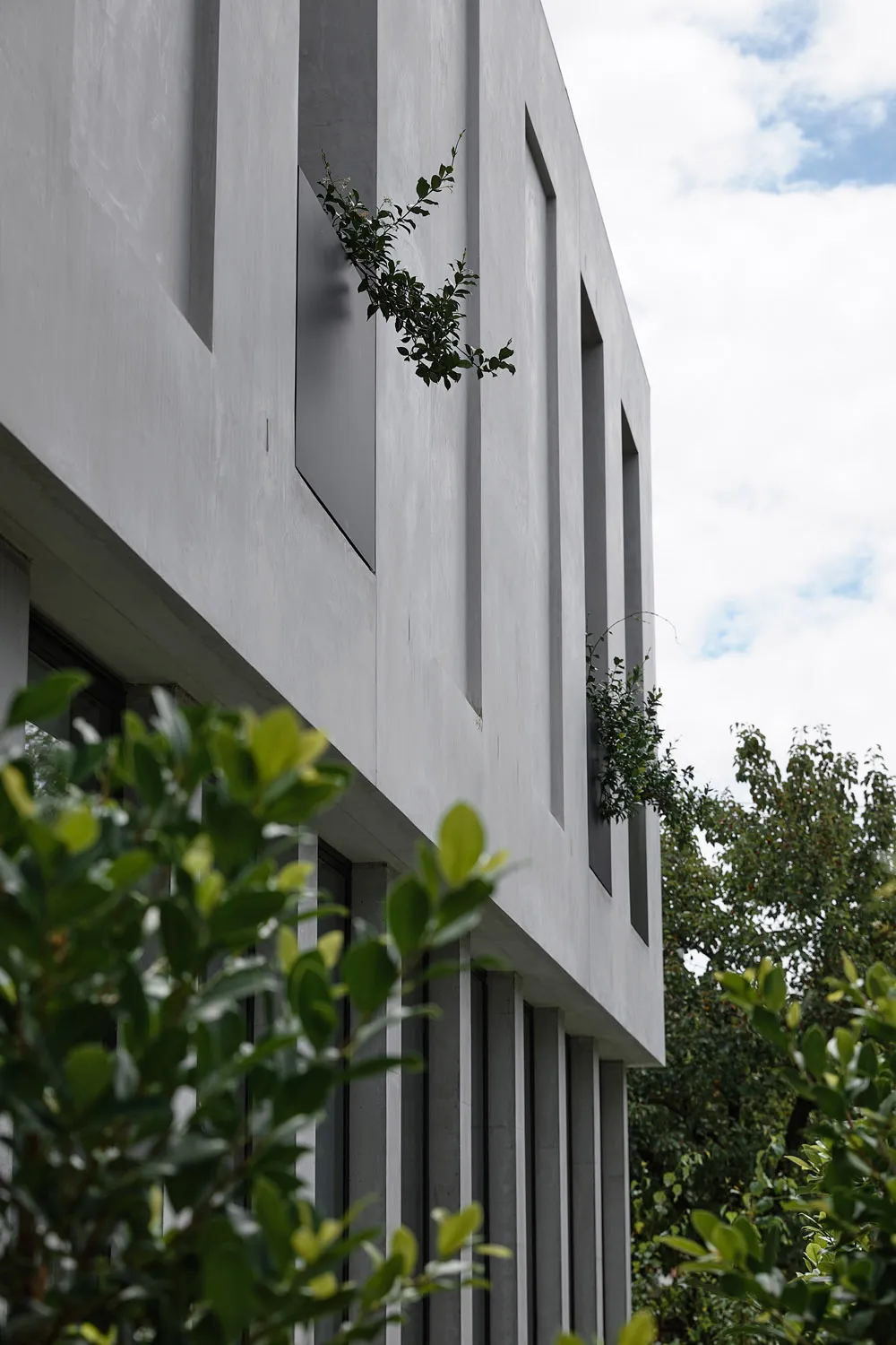 Modern exterior of a building made of concrete with green plants growing through the walls.