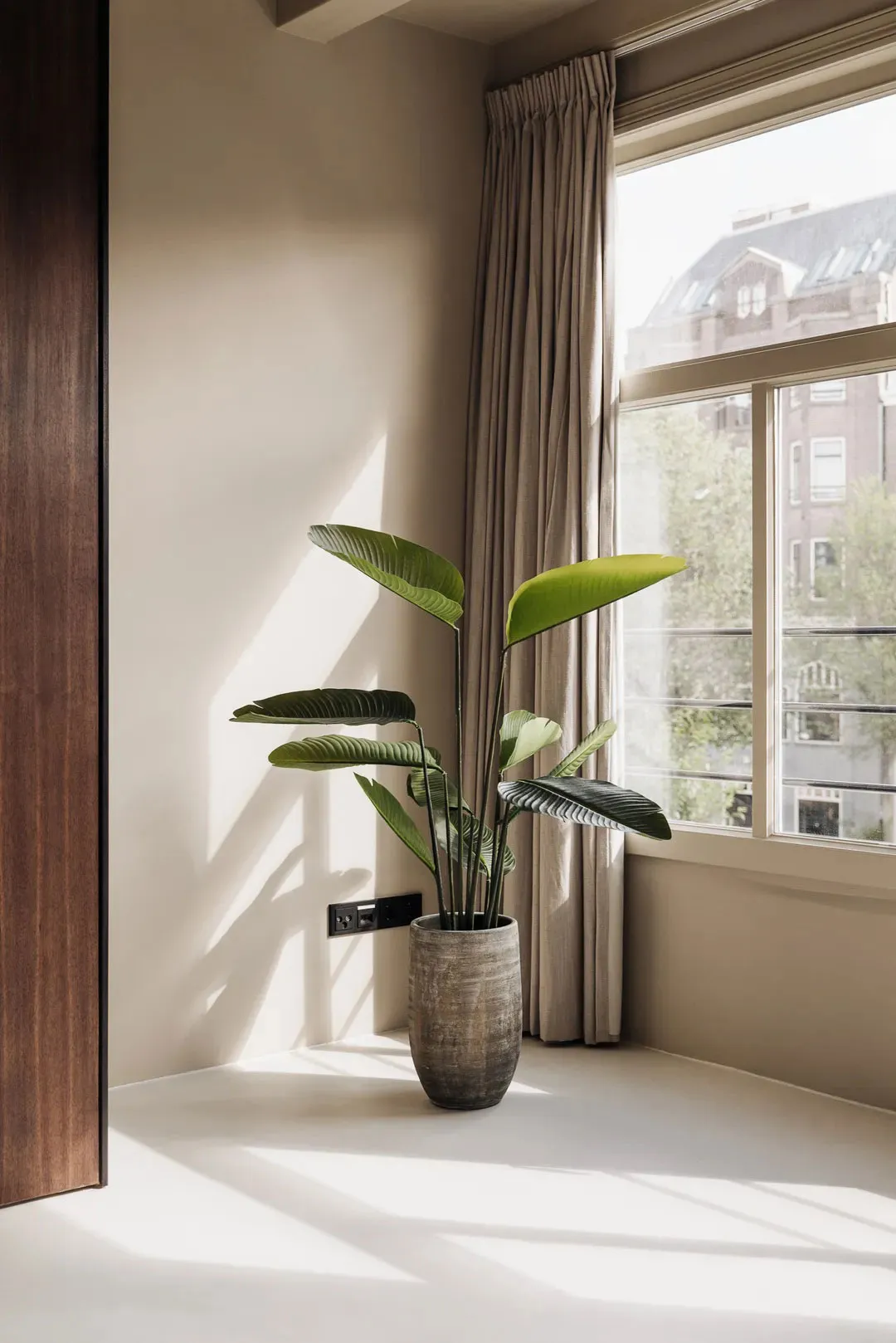 Modern minimalist interior with concrete floor and a potted plant.