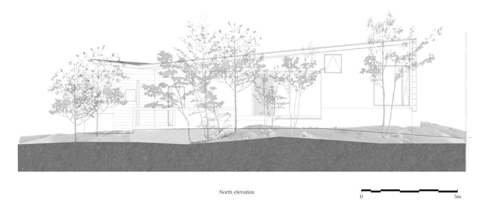 An exterior architectural drawing of a modern sustainable house with a garden including trees and landscaping.