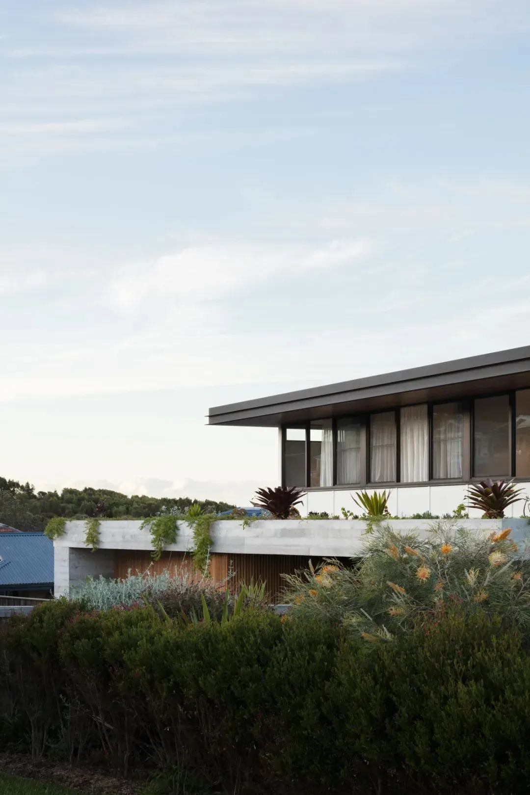 A modern house with a concrete exterior, featuring large windows and a rooftop garden.