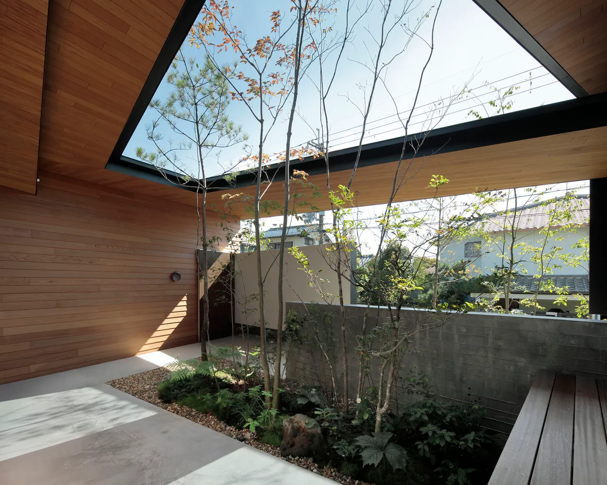 A modern residential space featuring a concrete and wood garden with trees and plants.
