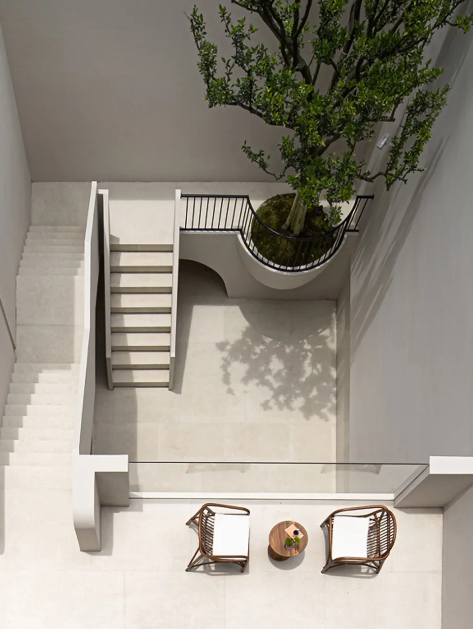 A modern courtyard with concrete flooring, stairs, and a potted tree.