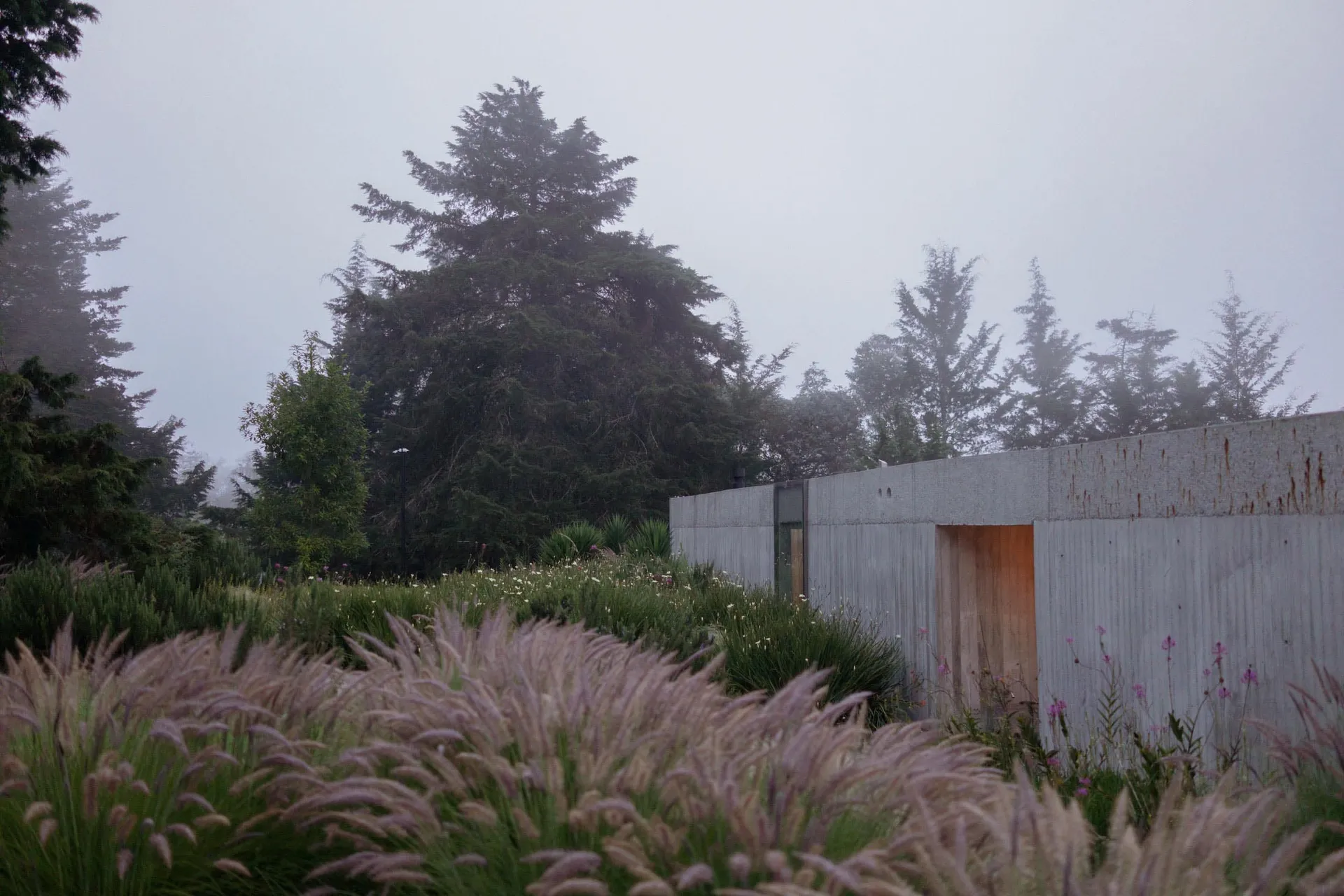 Concrete architectural exterior with modern design elements.