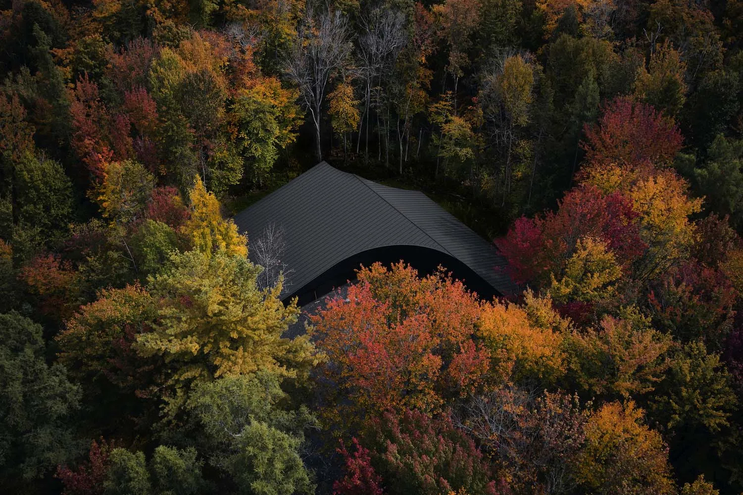 A modern residential exterior surrounded by autumn foliage.