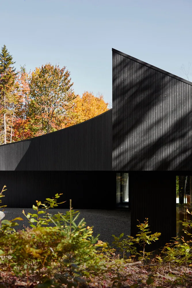 A black timber-paneled exterior of a modern house with a curved design and autumn foliage in the background.