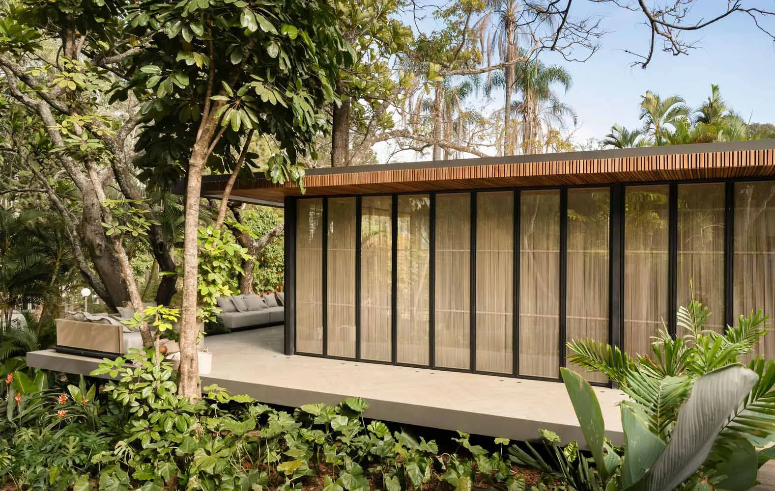 A modern residential space featuring a wooden structure and lush greenery.