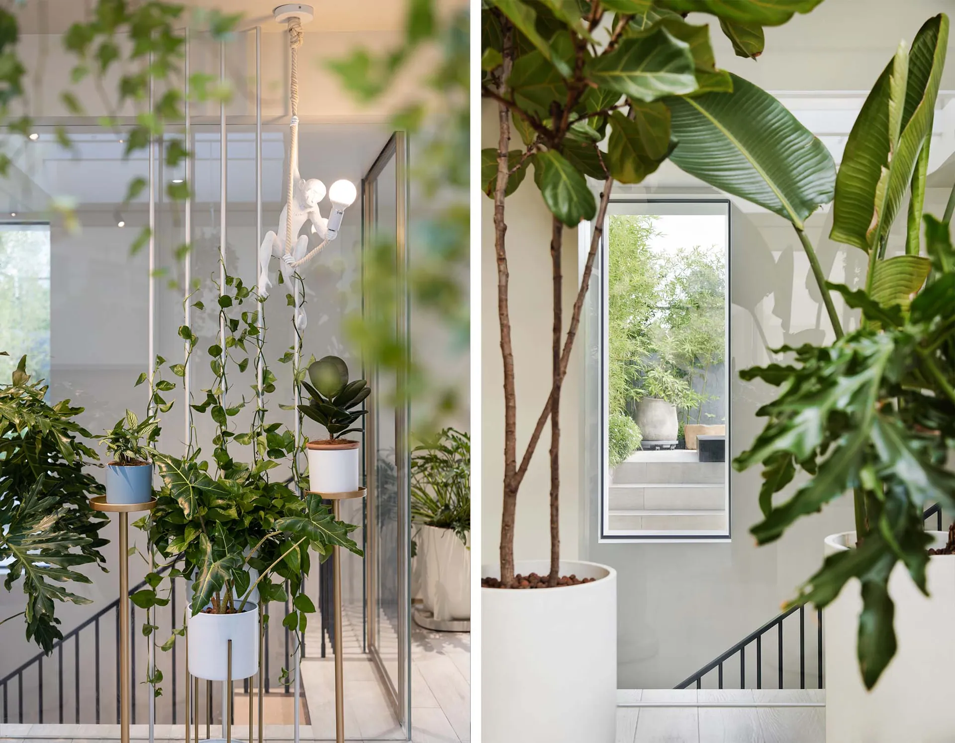 A modern interior space featuring various potted plants in sleek planters and a hanging light fixture with a monkey pendant.