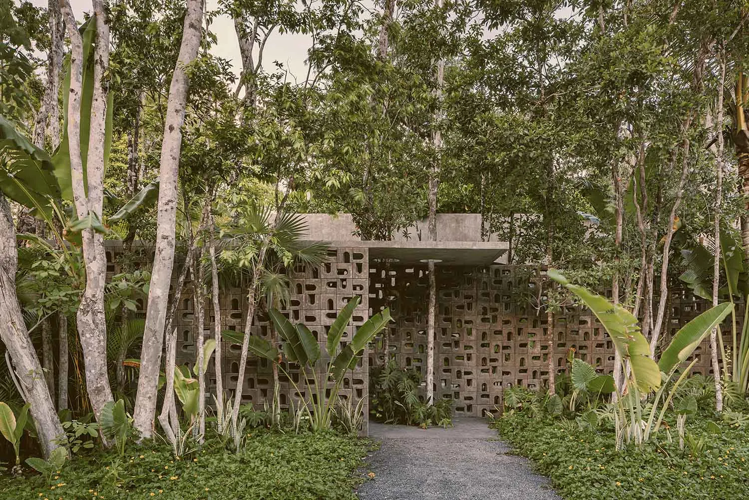 A modern house with a concrete exterior surrounded by lush greenery and trees.