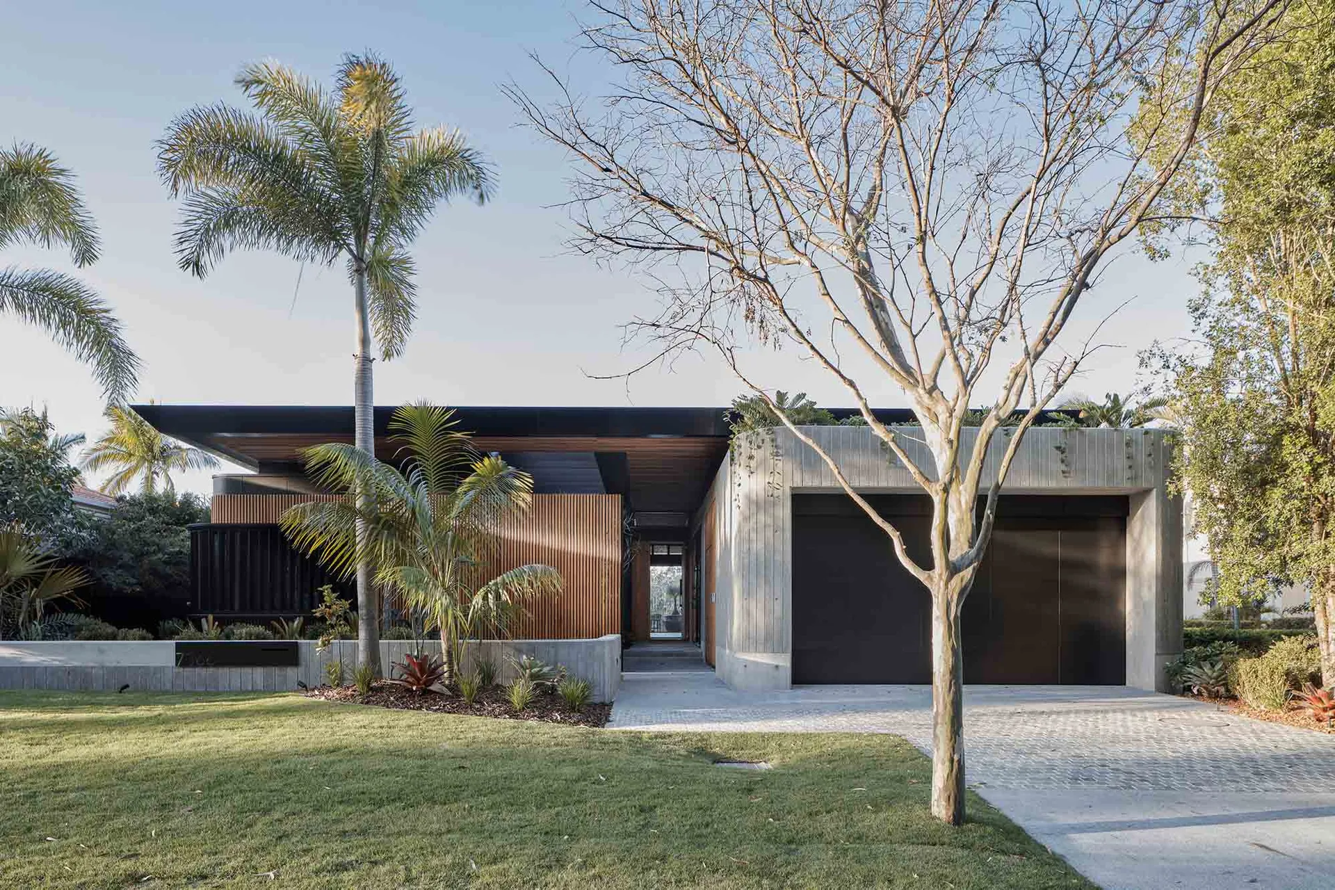 Modern house featuring concrete and wood exteriors surrounded by greenery.