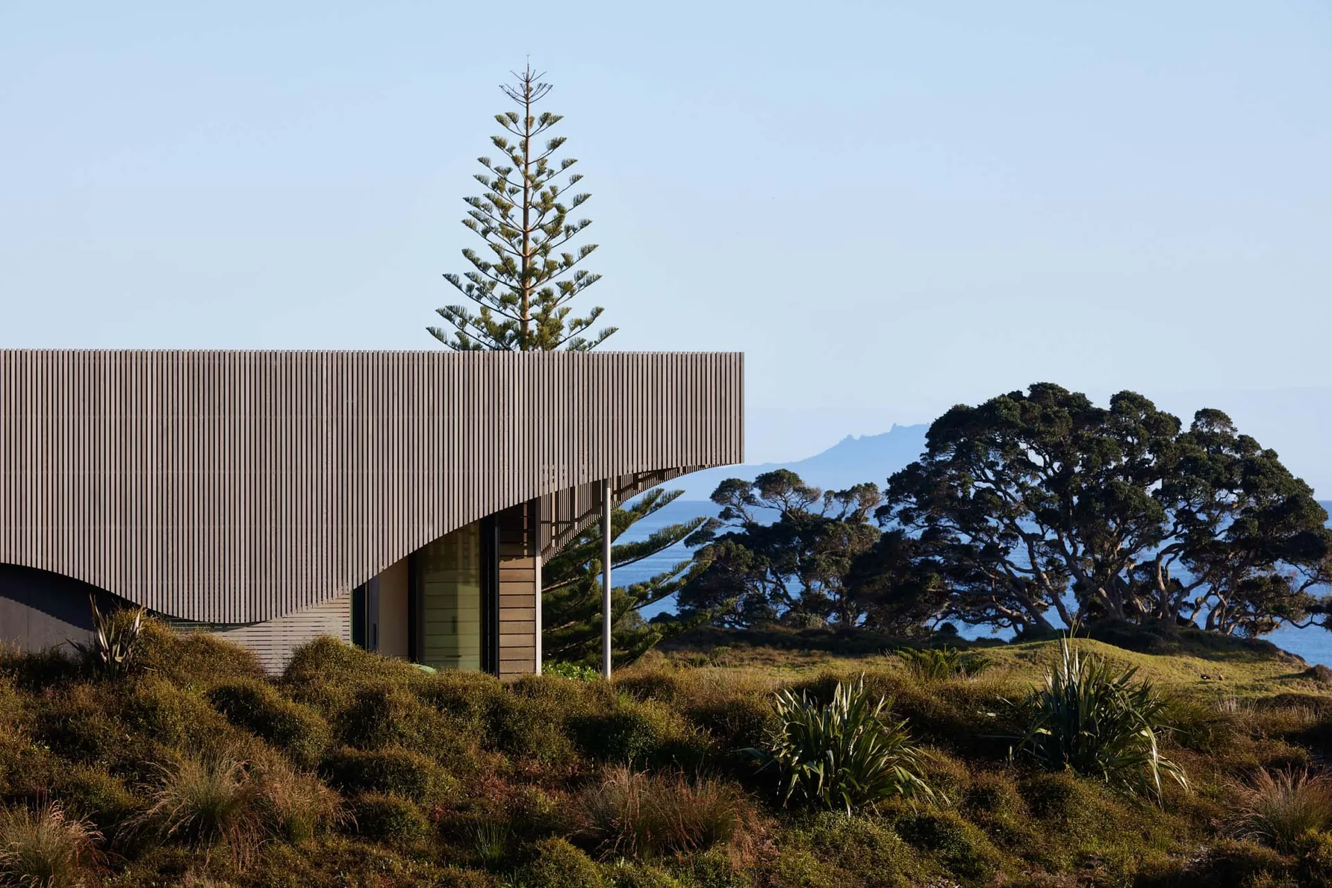 Modern residential exterior with wooden siding and a curved roof.