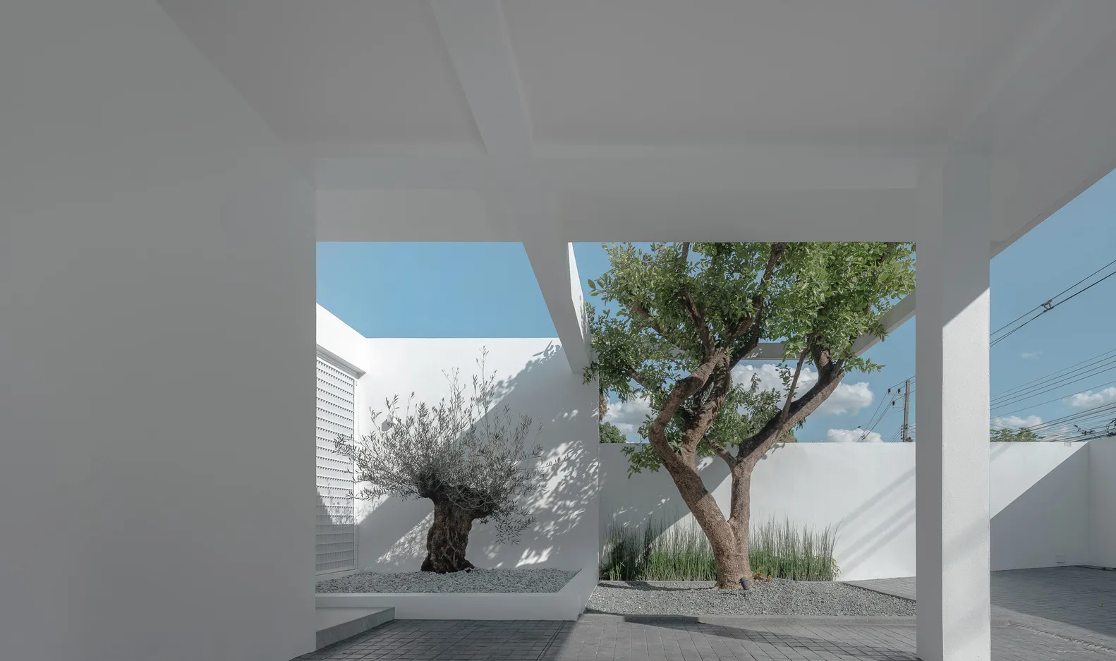 A minimalist landscape featuring concrete planters with greenery.