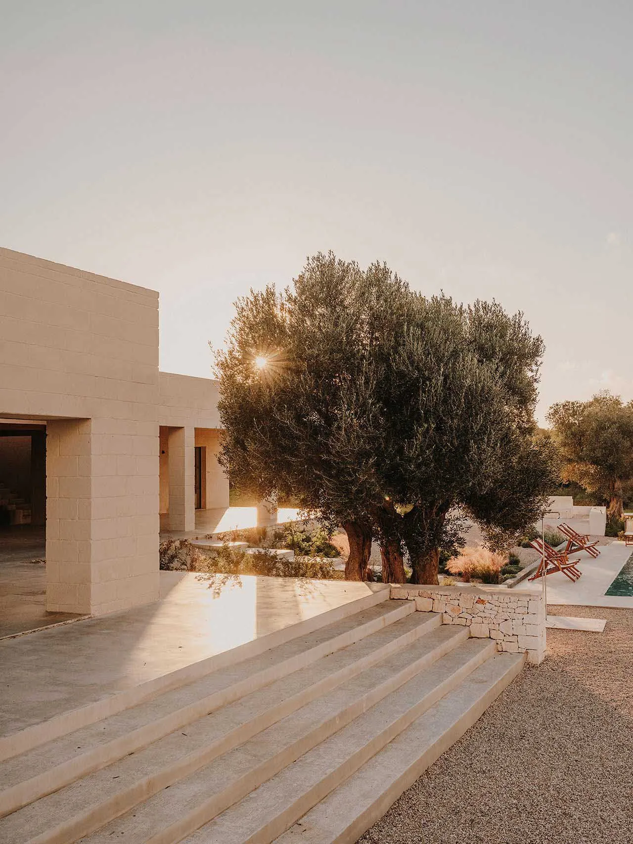 Minimalist residential exterior with concrete steps and a sunlit courtyard.