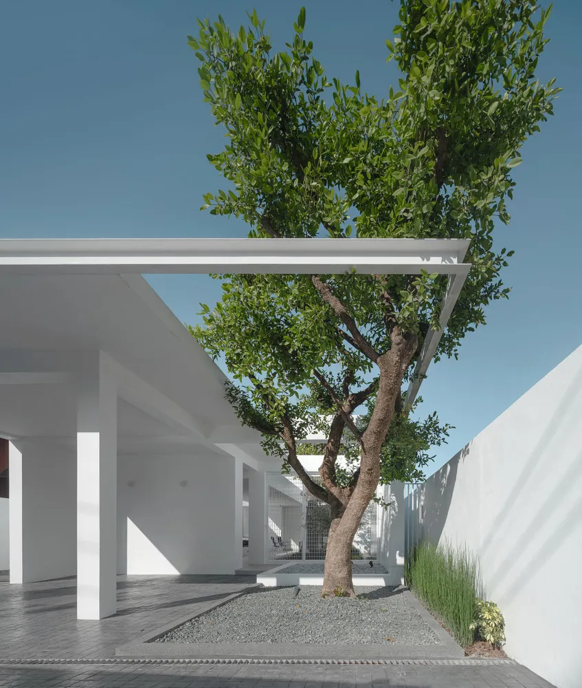 A modern residential exterior with a concrete structure and a tree in the foreground.