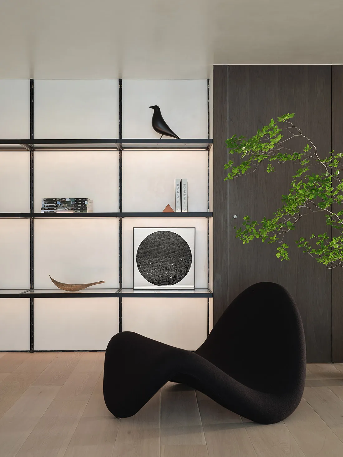 Modern minimalist living space with a black floating chair, a wall-mounted shelving unit with books, and a green leafy plant.