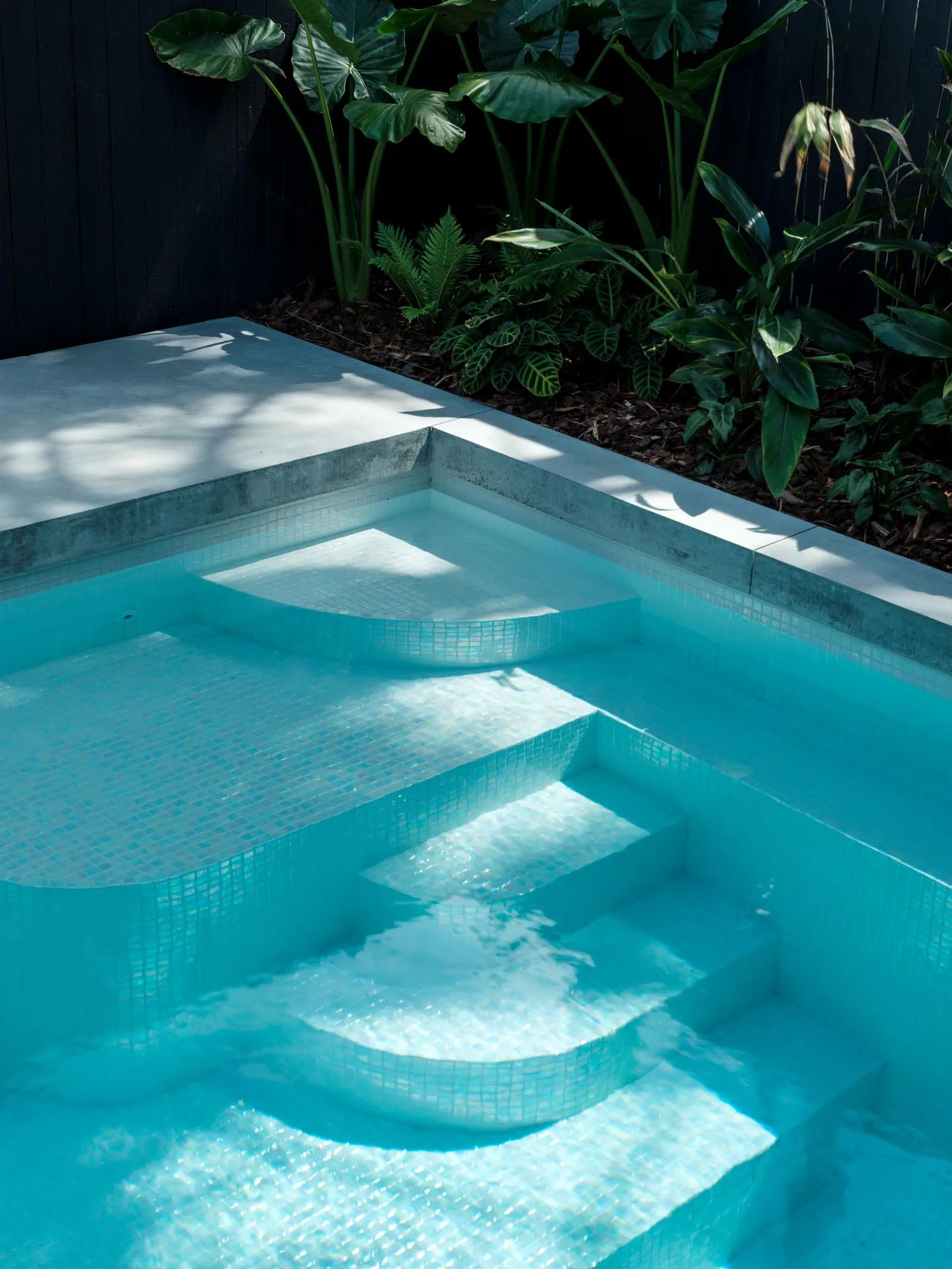 Modern landscape design featuring concrete steps surrounded by green foliage.