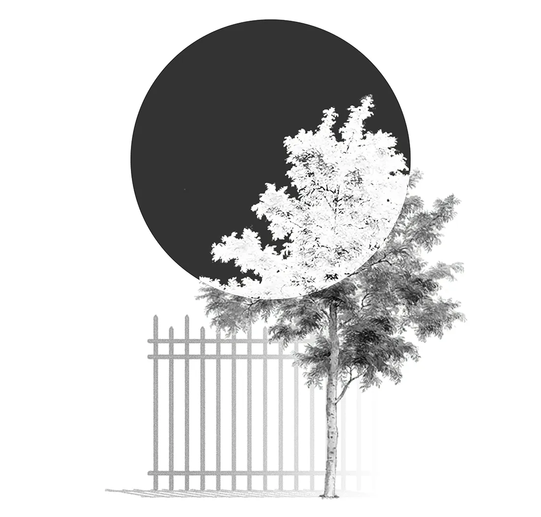 Minimalist urban landscape featuring a tree, a fence, and a black circle against a white background.