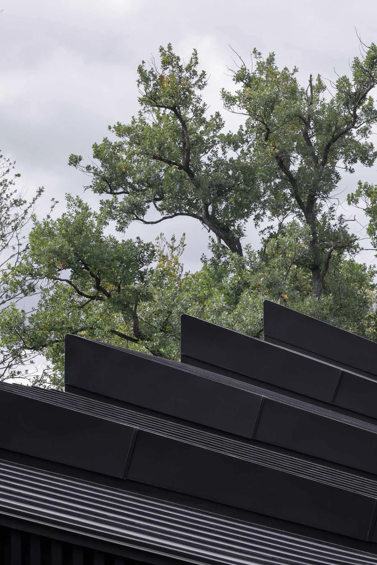 A modern building with a black metal roof and surrounding green foliage under a cloudy sky.