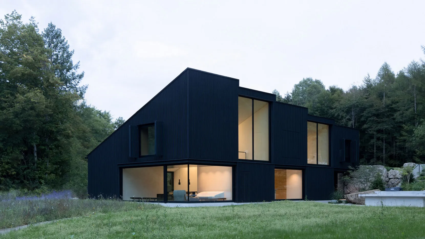 Modern minimalist house with black metal cladding in a residential setting.