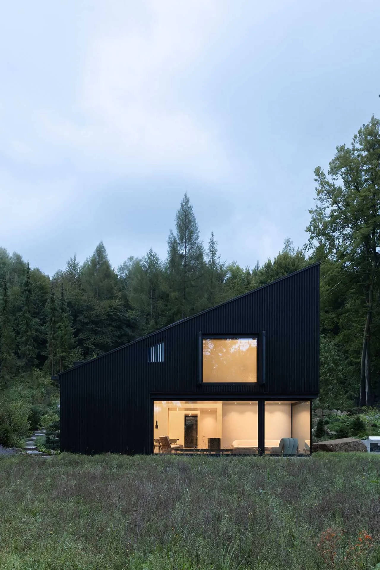 A modern black house with steel siding and large windows in a natural, wooded area.