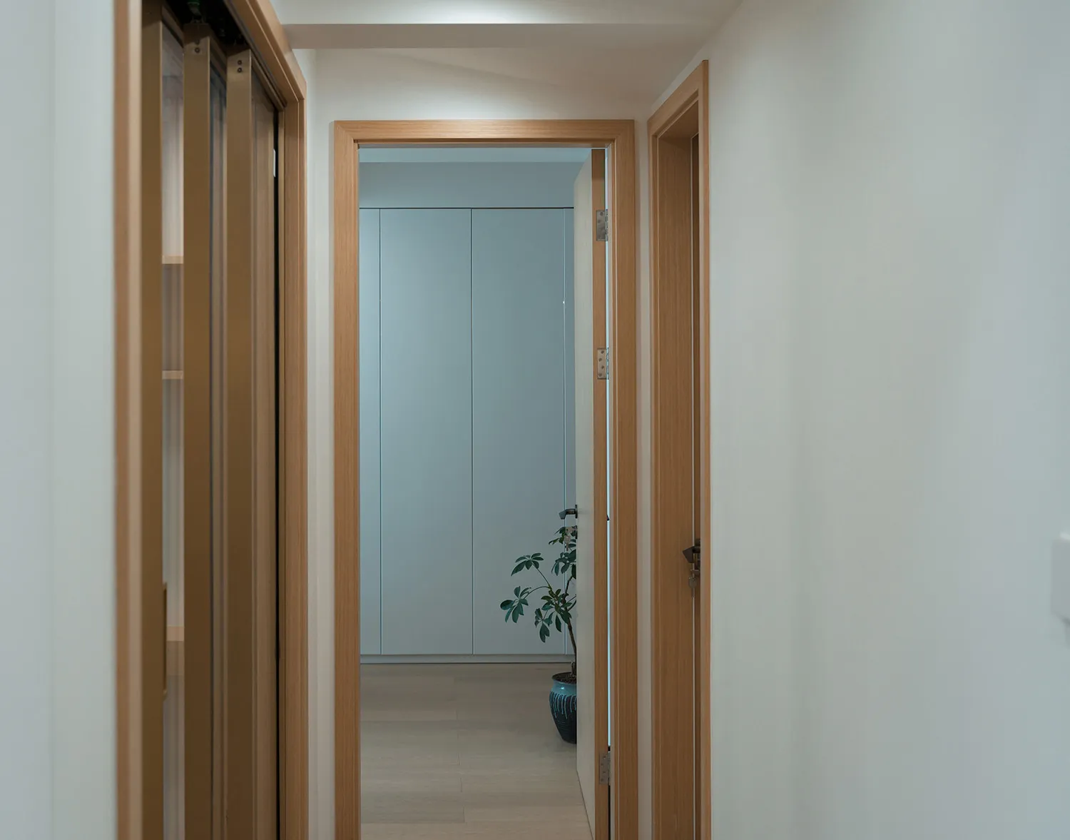 A minimalist corridor with wooden walls and doors, featuring a single plant.
