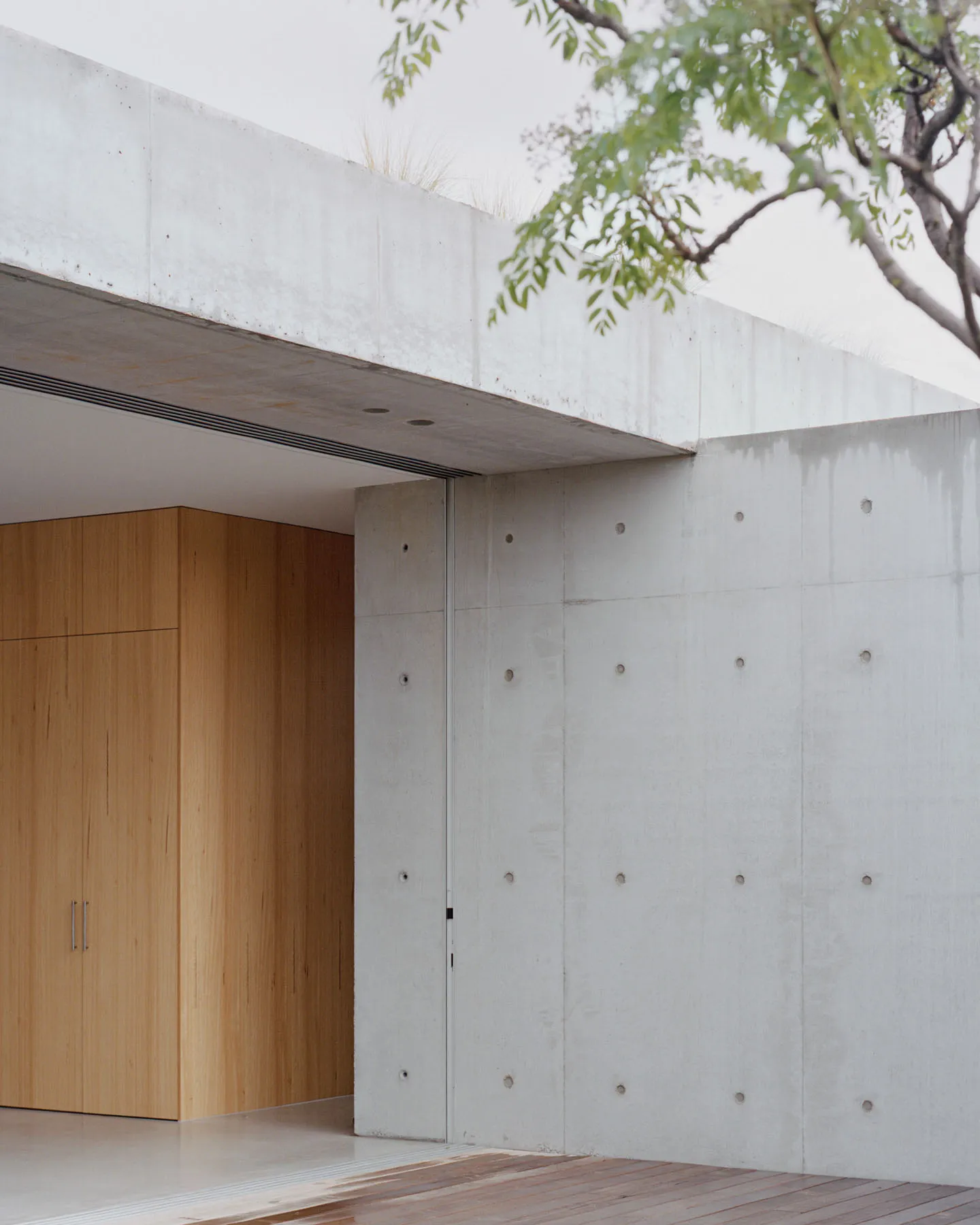 Minimalist exterior design featuring a concrete wall and wooden door.