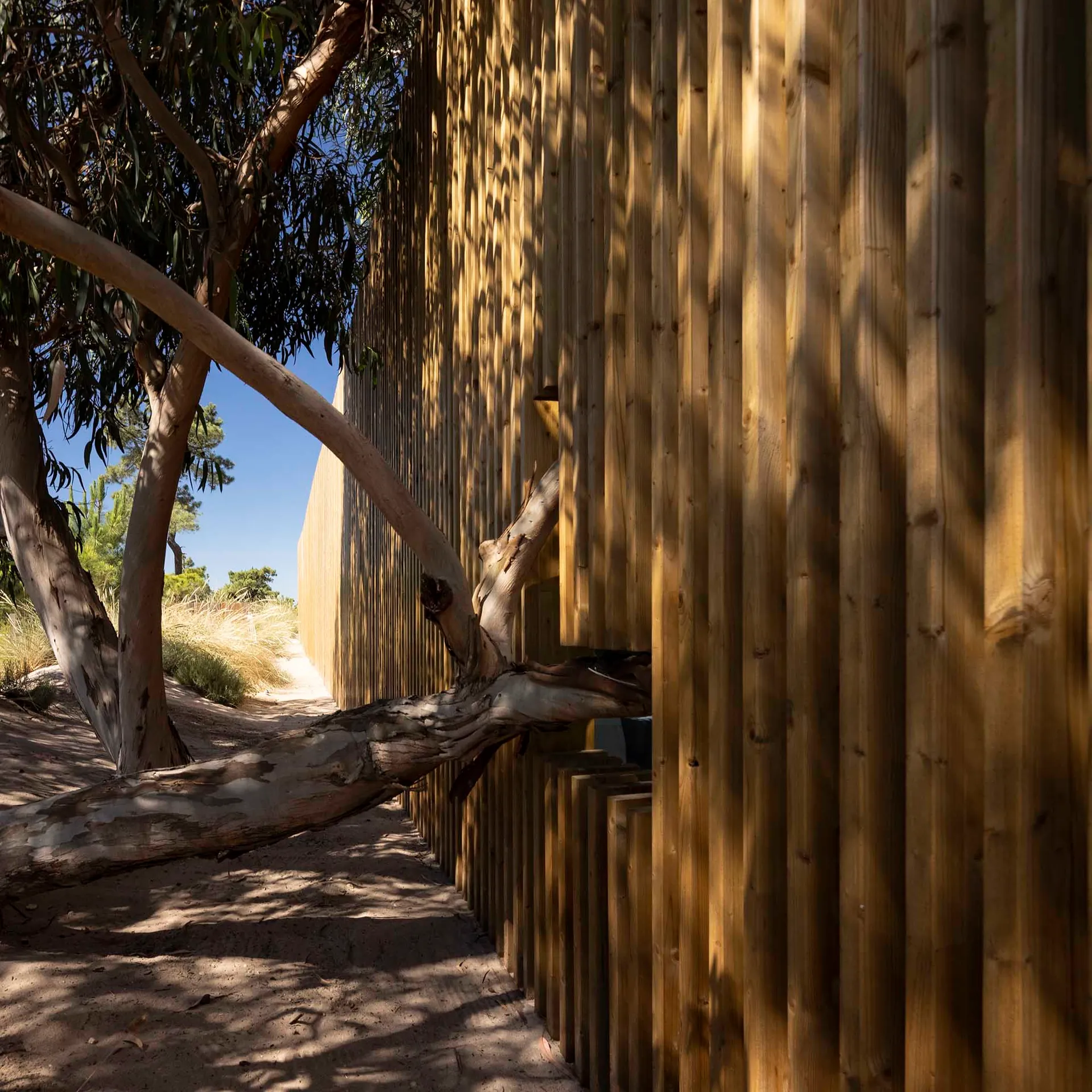 A modern beach house with a wooden fence surrounded by sand and trees.