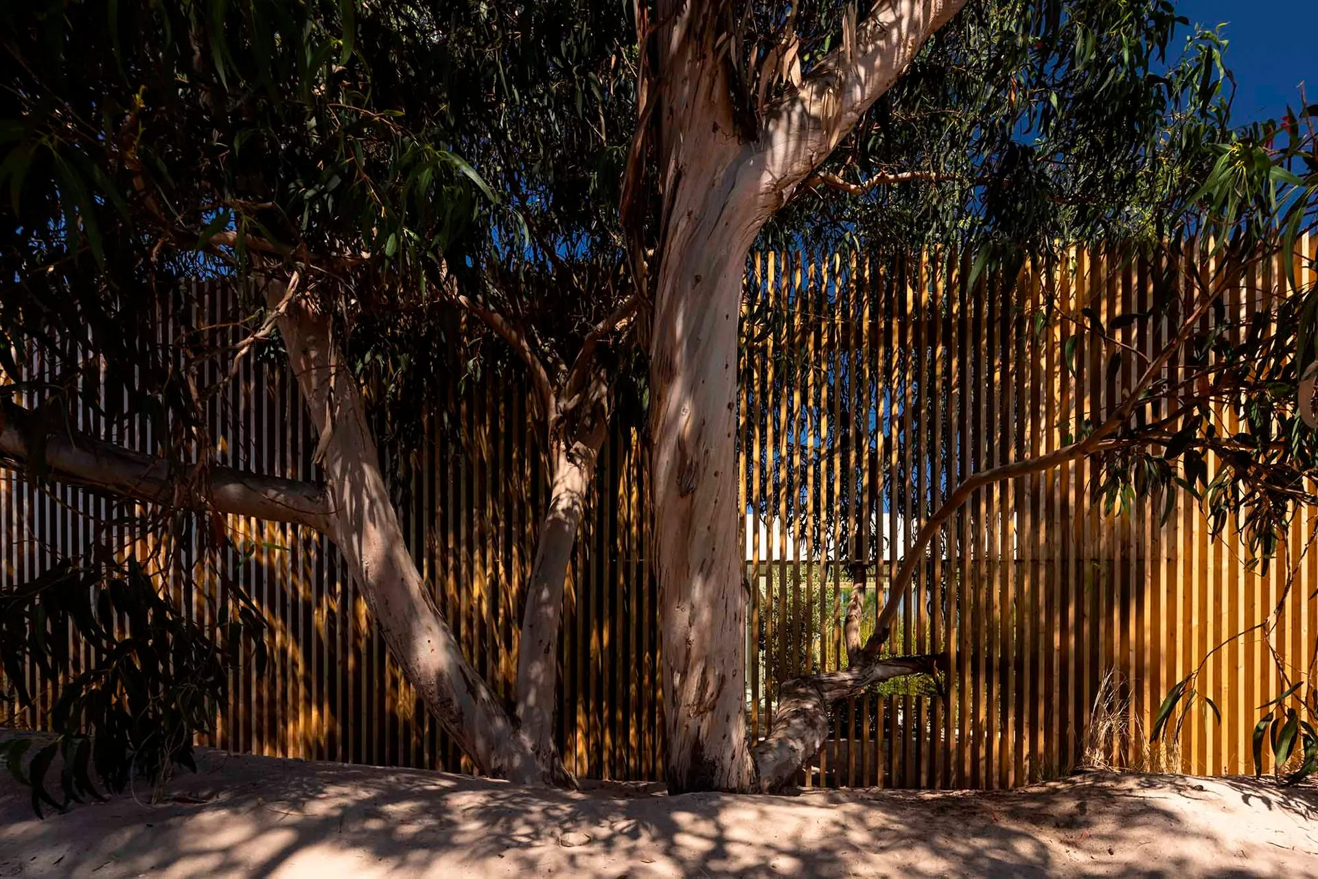 Modern wooden fence with shadows cast by surrounding trees.
