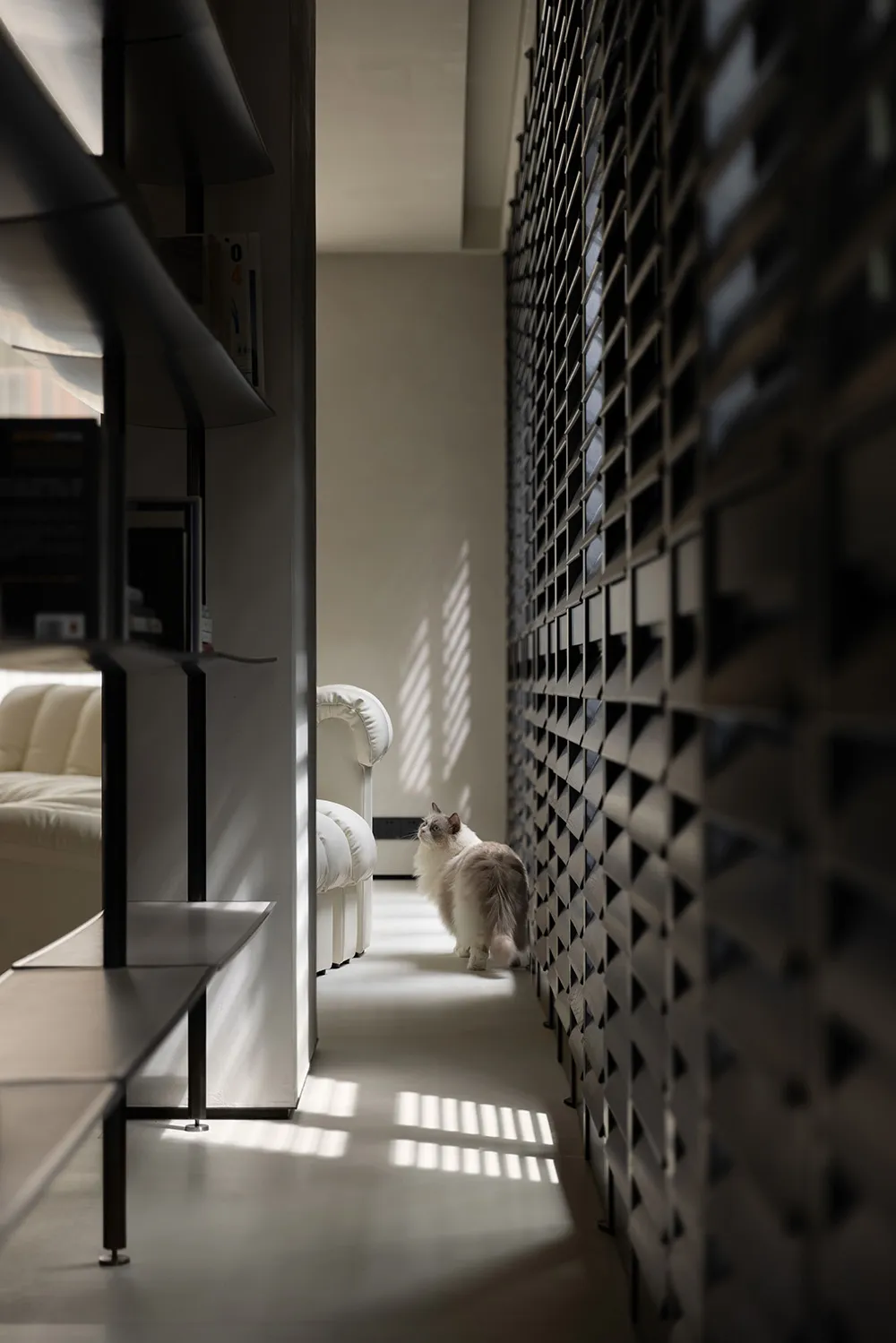 A fluffy cat standing on a textured wall panel in an indoor setting, showcasing a minimalist design.