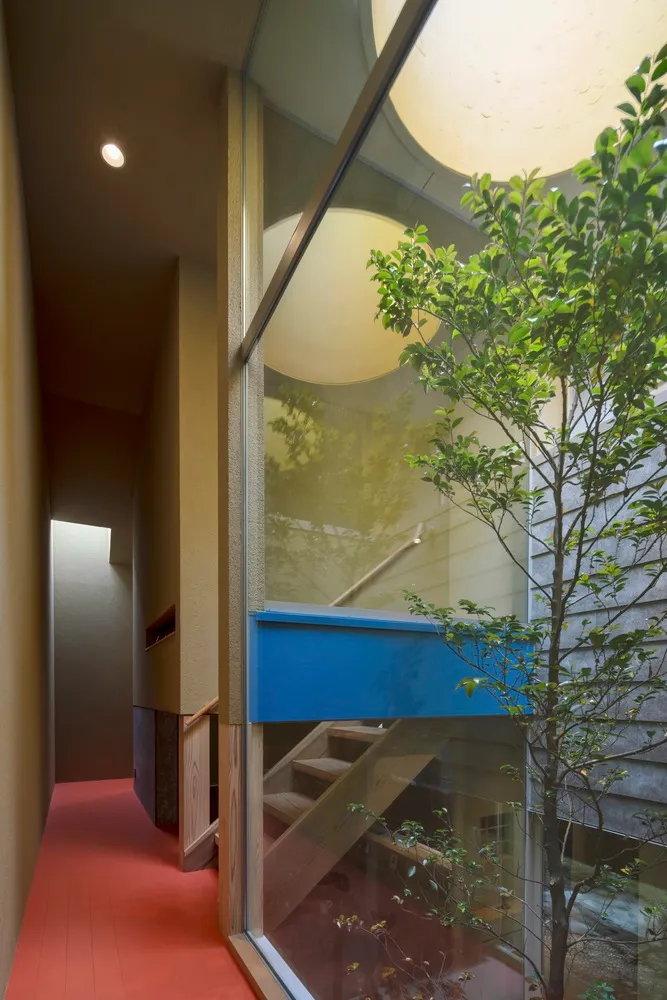 Modern residential interior with wooden elements and large windows featuring a tree.