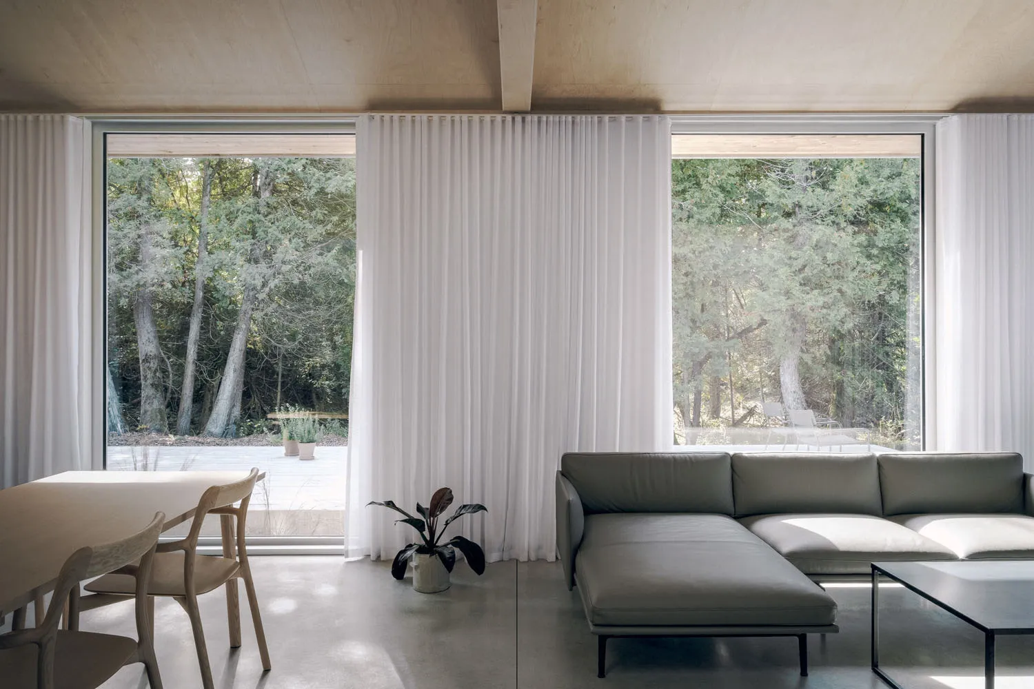 A modern, minimalist living room with large windows, white curtains, and a comfortable sofa in front of a concrete floor.
