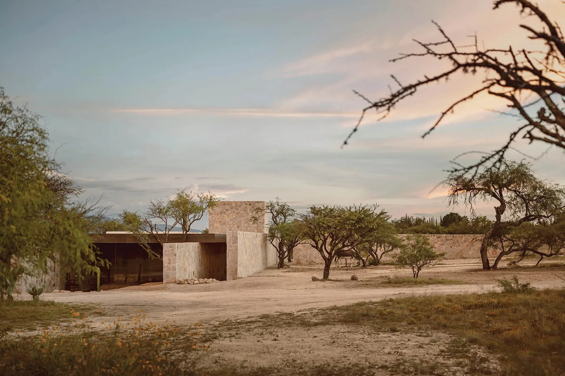 A modern residential building with a concrete exterior set against a desert landscape.