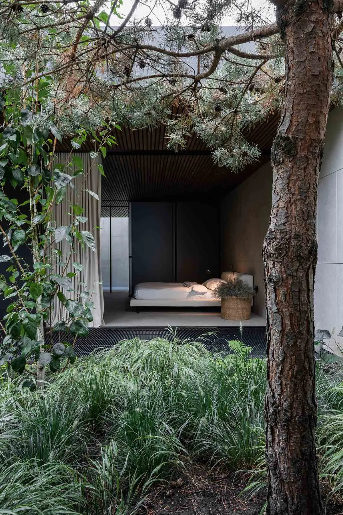 Modern minimalist bedroom with a wooden canopy over a bed, surrounded by greenery.