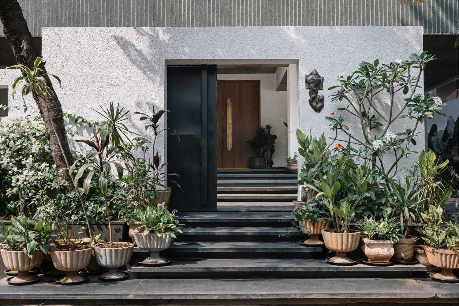A modern concrete building exterior featuring a wooden door and various potted plants.
