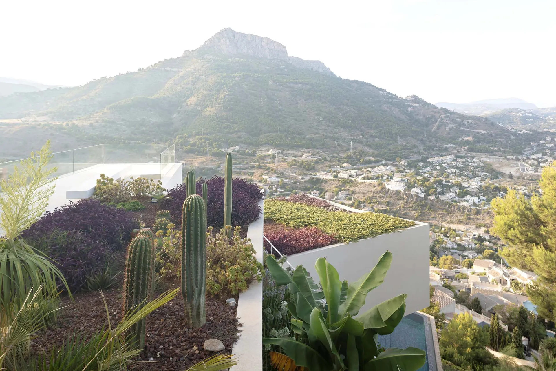 A rooftop garden with cacti and succulents overlooking a hilly landscape with distant mountains.
