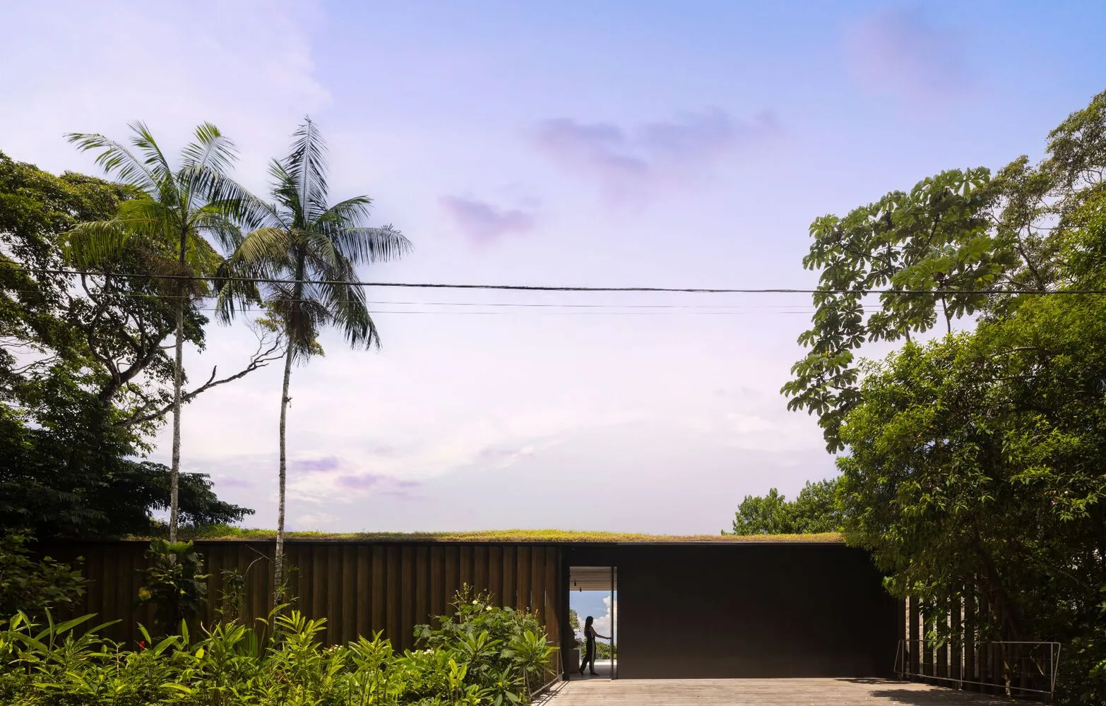 A modern, man-made building with a green rooftop amidst lush surroundings.