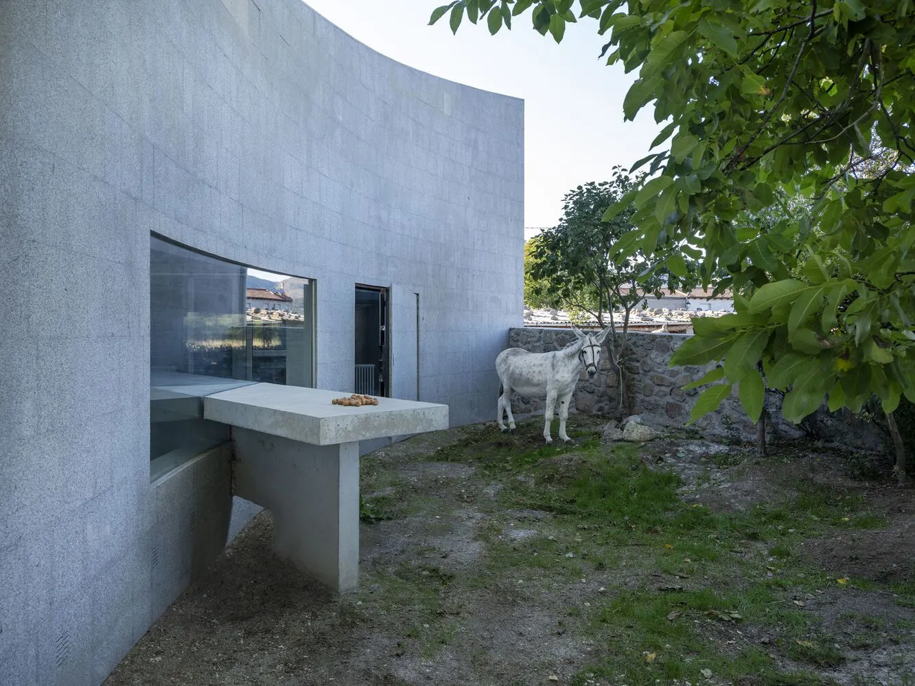 A minimalist courtyard featuring a smooth granite wall, table, and a white spotted horse near a tree.