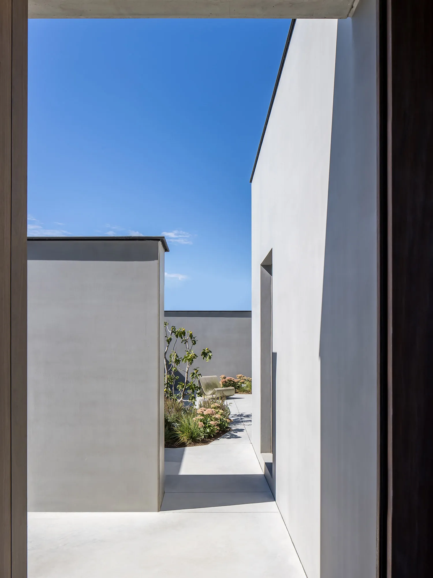 Modern minimalist residential patio area featuring a concrete pathway, small garden, and contemporary bench.