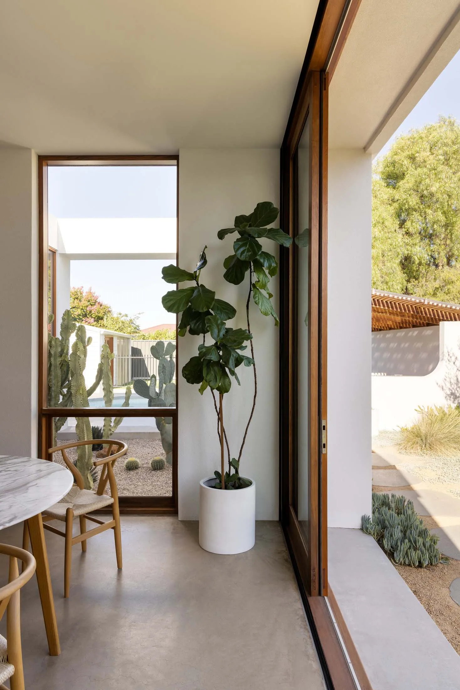Modern interior space featuring a concrete floor, a potted plant, and a view of a backyard with cacti and a pool.